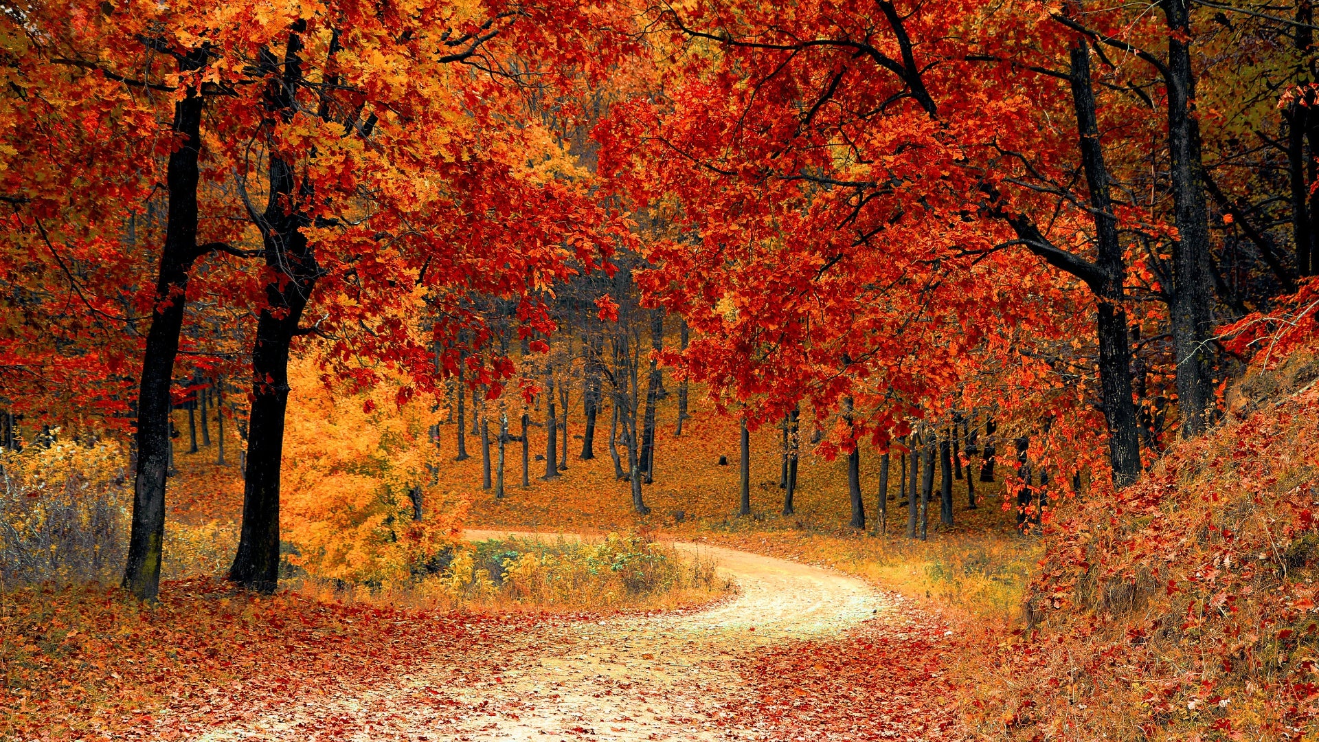 Fall, The Best Season For Bike Riding